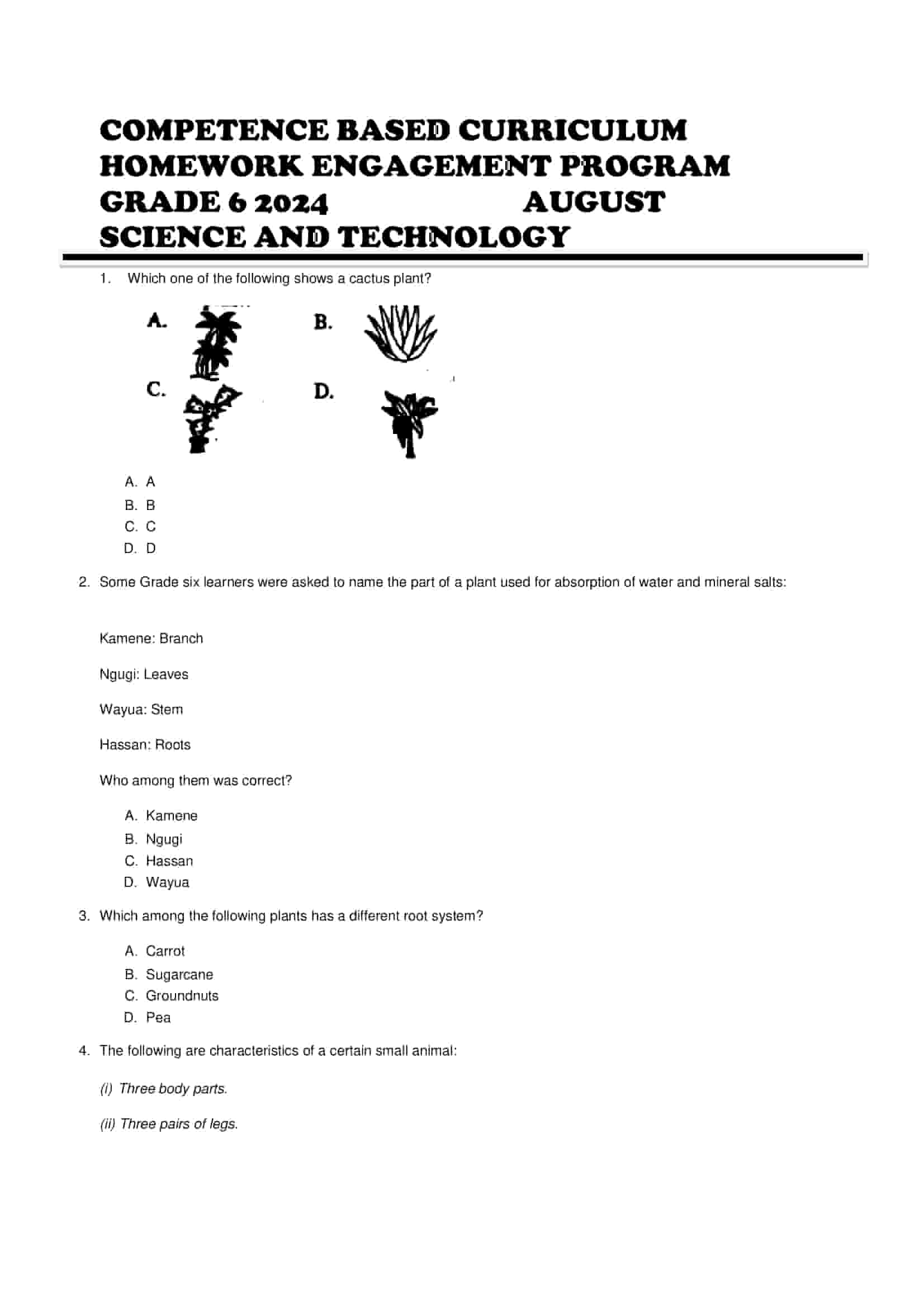Grade 6 Science and Technology Holiday Assignments August2024