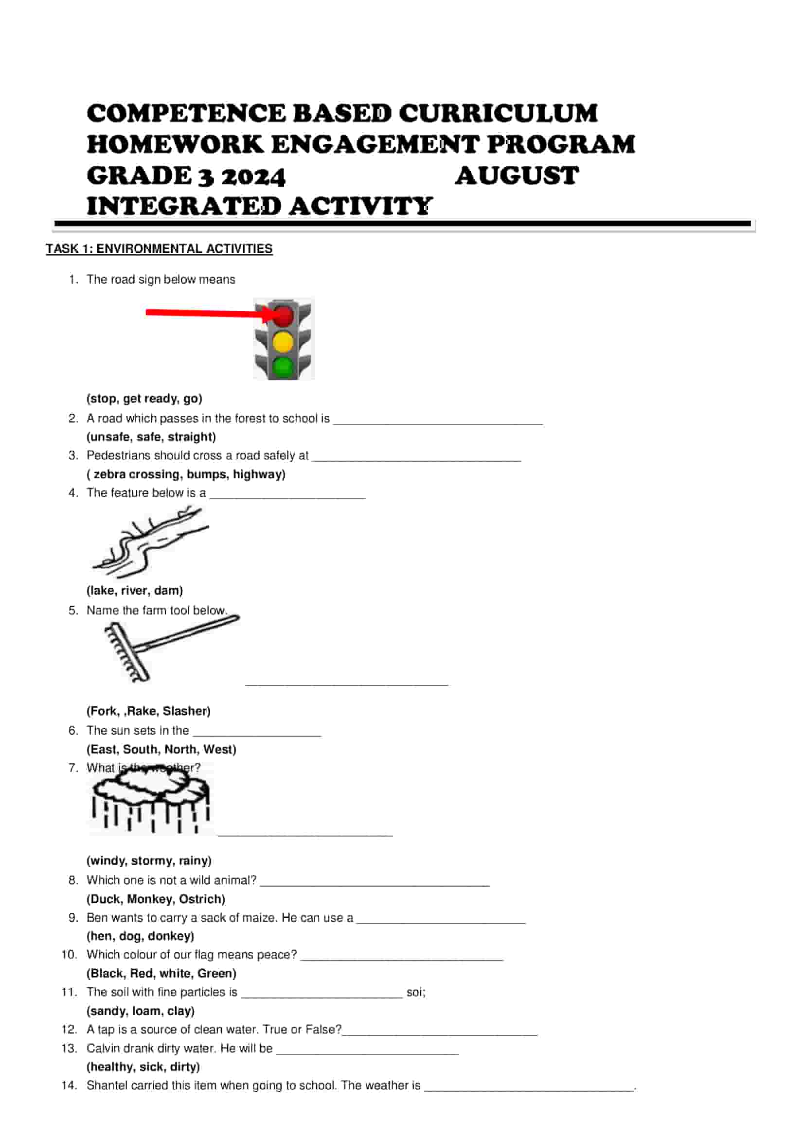 Grade 3 Integrated Activity Homework August Holiday