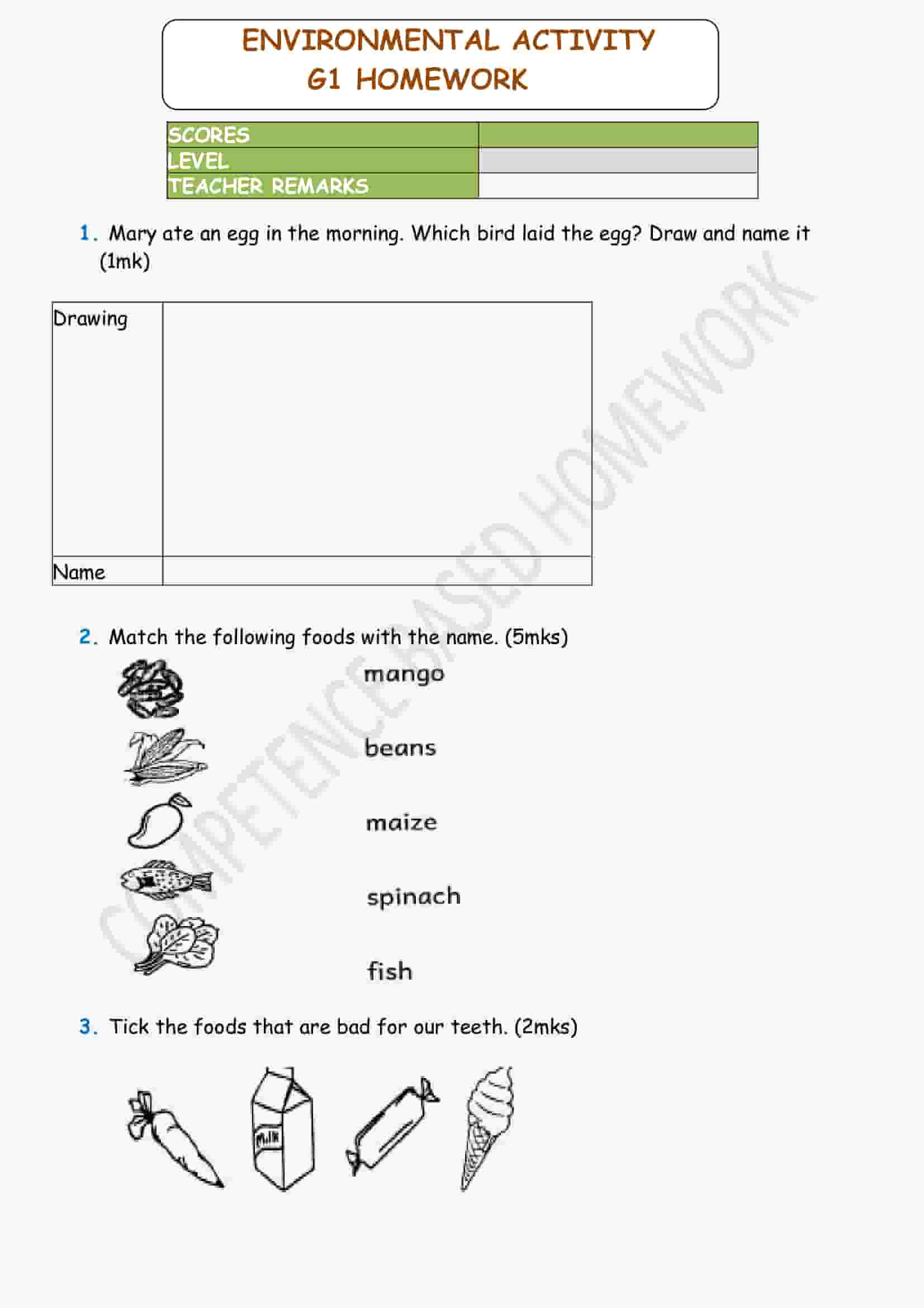 Grade 1 Environmental Activity Homework December Holiday